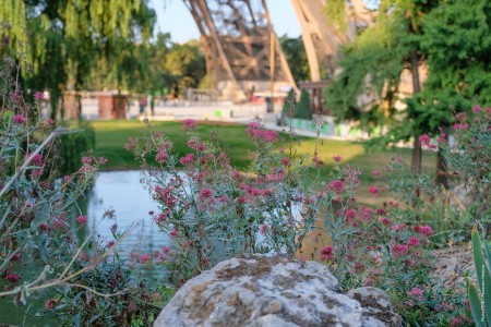 Ostgarten