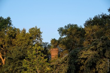 Schornstein