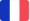 French flag icon